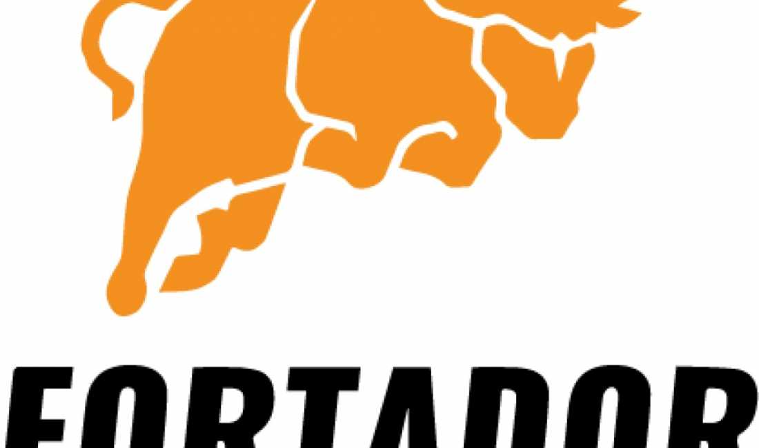 SHITET BIZNES INOVATIV – PASTRIM ME AVULL PER MAKINA (AUTODETAILING)