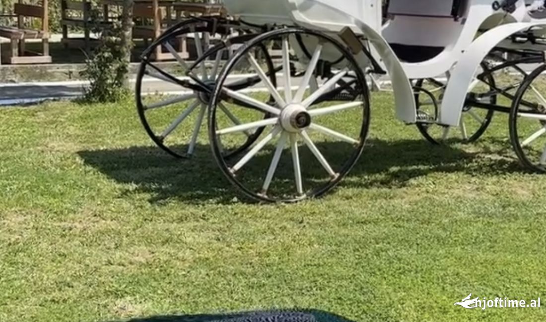 JEPET RESTAURANT ME QERA GJIRI LALZIT 