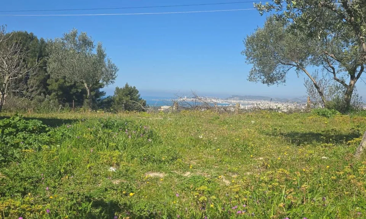 Shiten 1100 m2 toke ne Borsh Himare