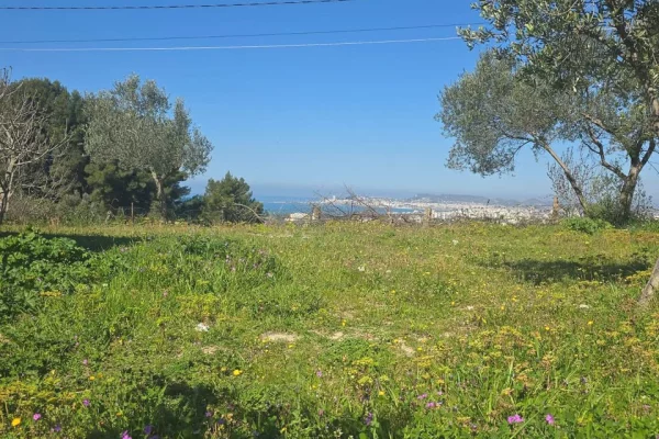 Truall ose Toke ne Himare - 143,000 Euro