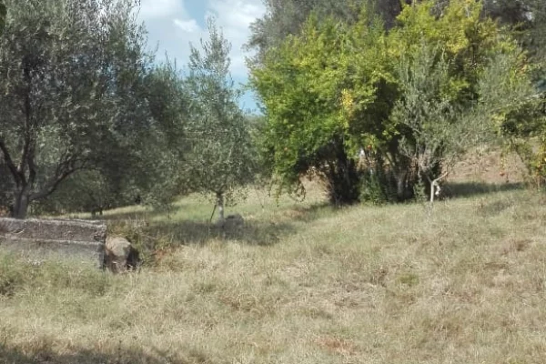 Shtepi ne shitje Shtepi Private ne Tirane, 4+1, Mobilimi Bosh, pa mobiluar, Pagesa 145,000  Euro.