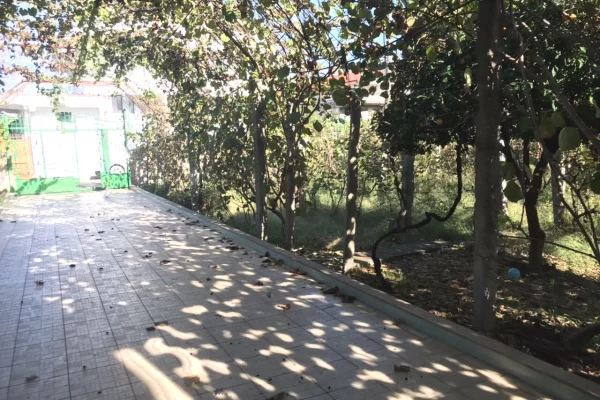 Shtepi me qera 3+1 ne Tirane - 600 Euro