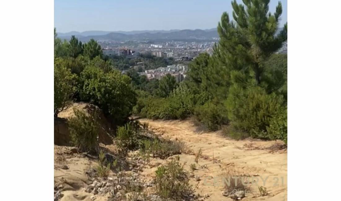 EKSKLUZIVE SHITET TOKE NE ZONEN E LINZES, DAJT