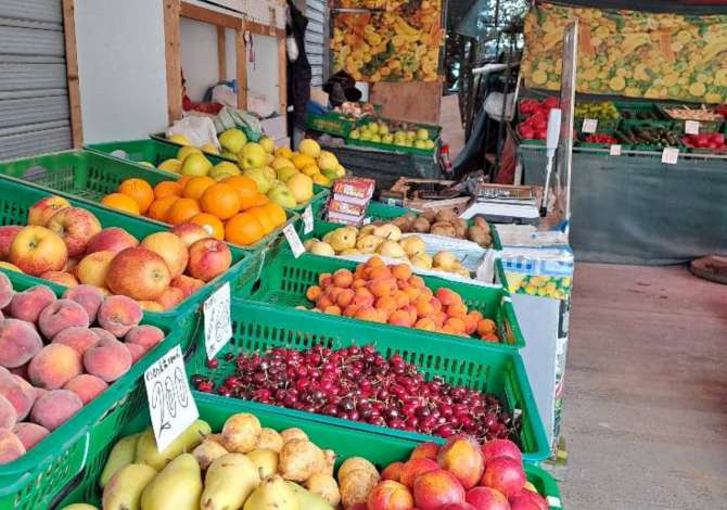 Ambient biznesi me qera 1+1 ne Tirane - 250 Euro