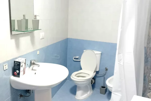 Shtepi me qera Apartament ne Tirane, 2+1, Mobilimi E mobiluar, Pagesa 55,000  Leke.