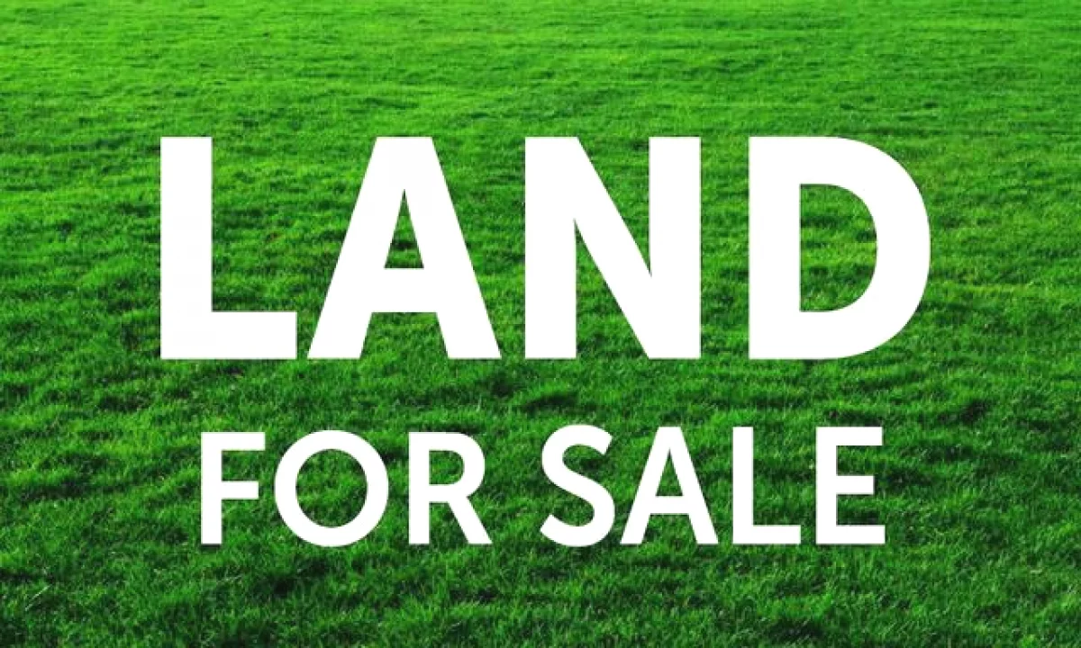 TOKE NE SHITJE NE YZBERISHT