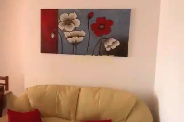 Shtepi ne shitje Apartament ne Tirane, 1+1, Mobilimi E mobiluar, Pagesa 65,000  Euro.
