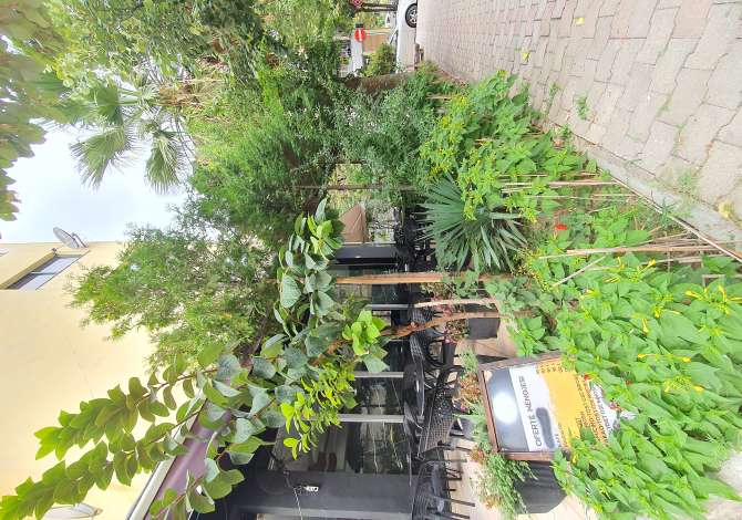 Lokal me qera perballe me Kompleksin Deliorgji