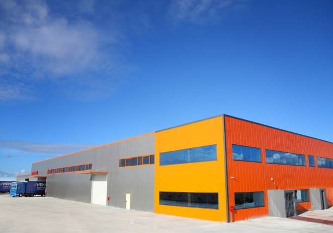 Offerte di lavoro per Economista a Valona