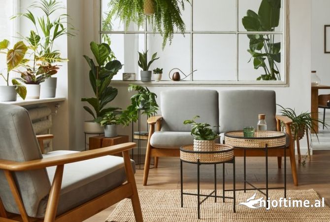 Servizi di srredamento a Elbasan - 50 Euro