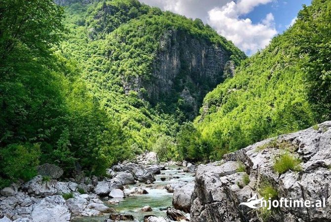 Sherbime Udhetimi dhe Transporti ne Tirane - 0 