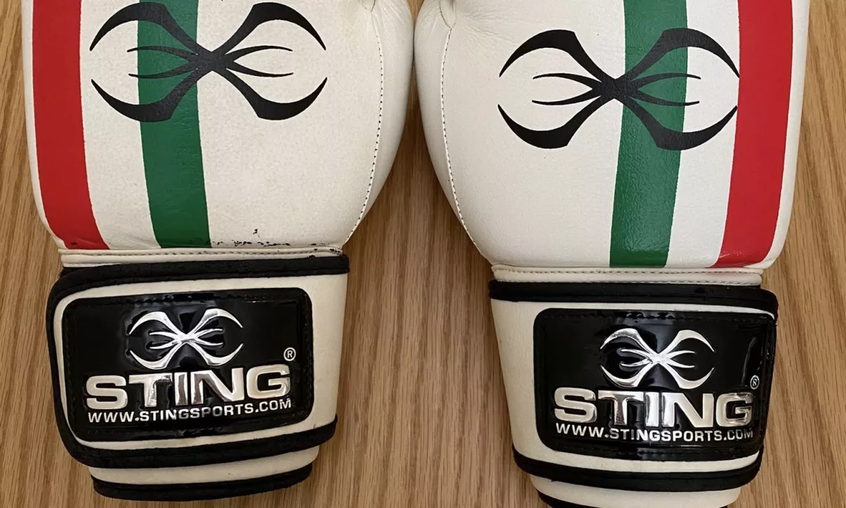 Shiten 🥊 DOREZA BOKSI “STING” – EDITION ITALIAN