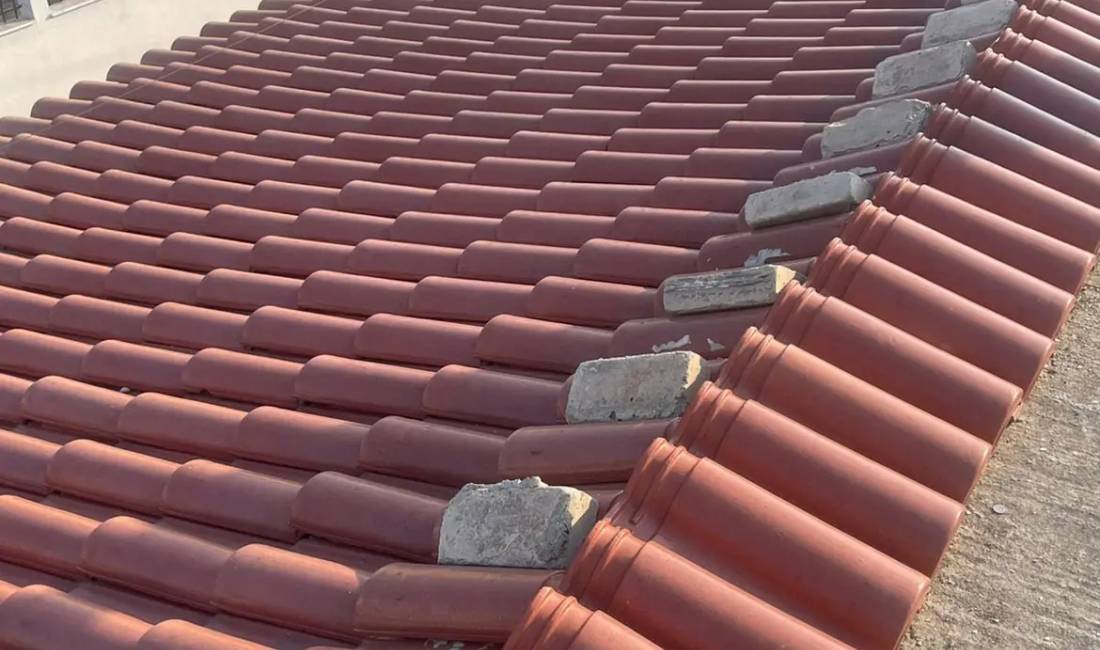 📢 Shiten Tjegulla 🏠