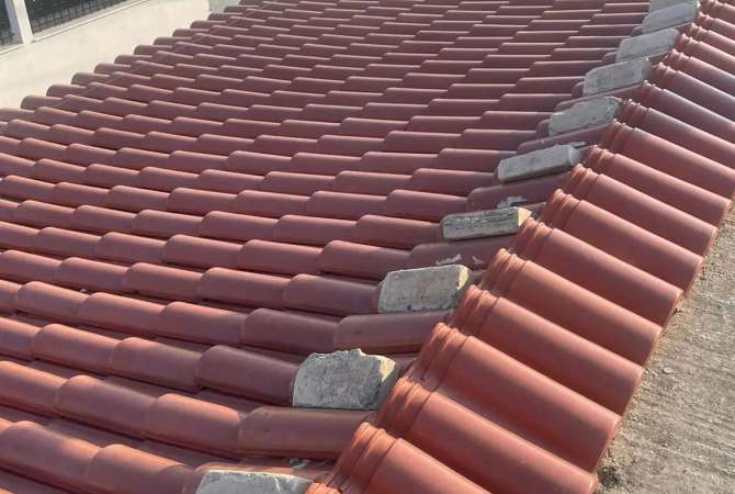 Different articles a Tirana - 500 Euro