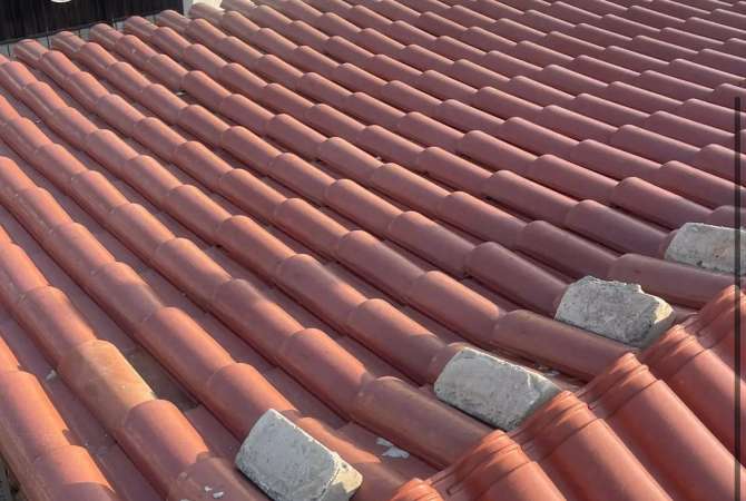 Different articles a Tirana - 500 Euro