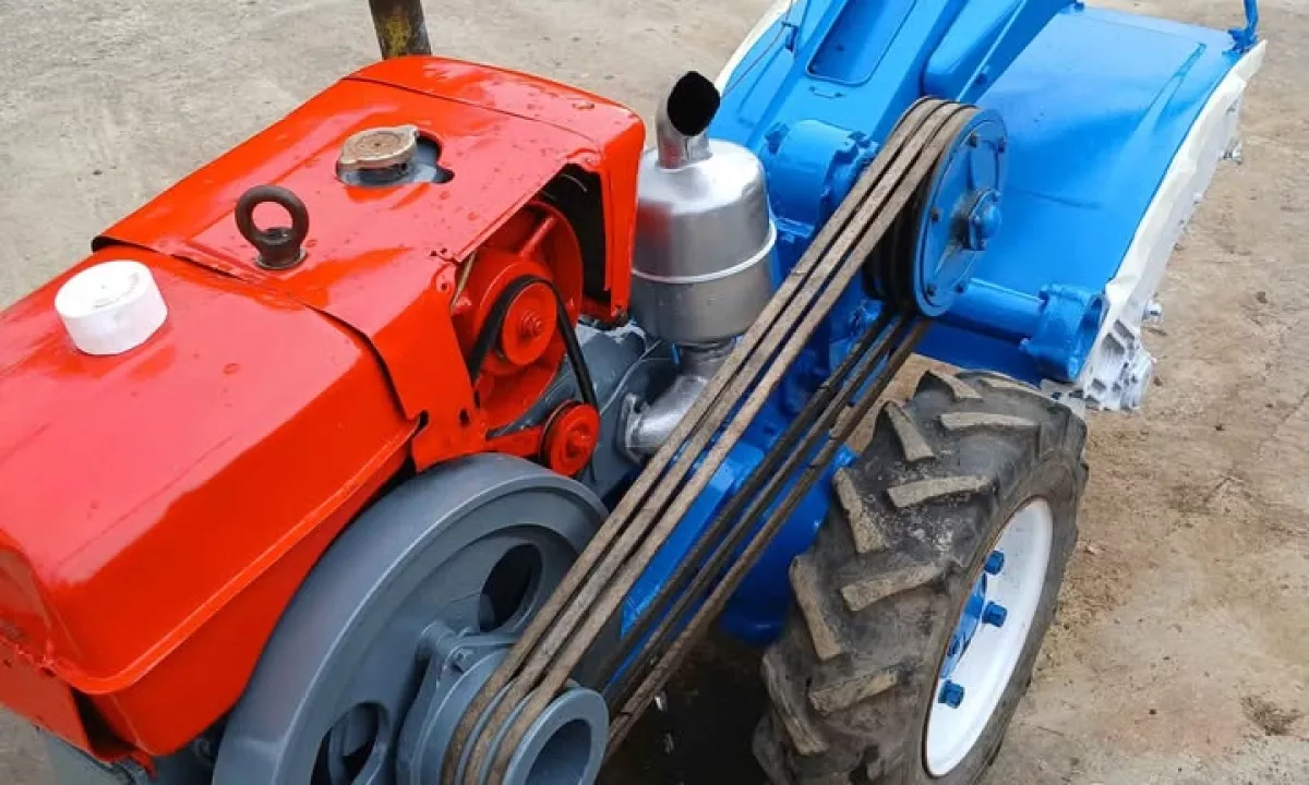 🔹 SHITET – Freze dore 15 kuaj + plug me 2 vesha | Gjendje super