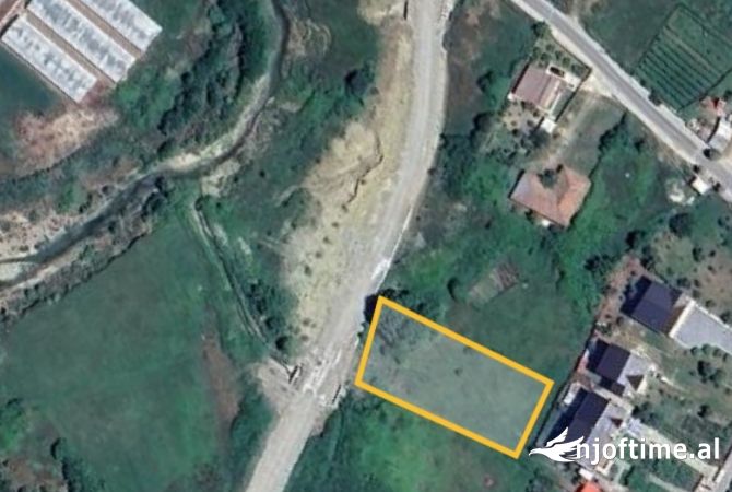 SHITET TOKE NE QEHA, MULLET!!