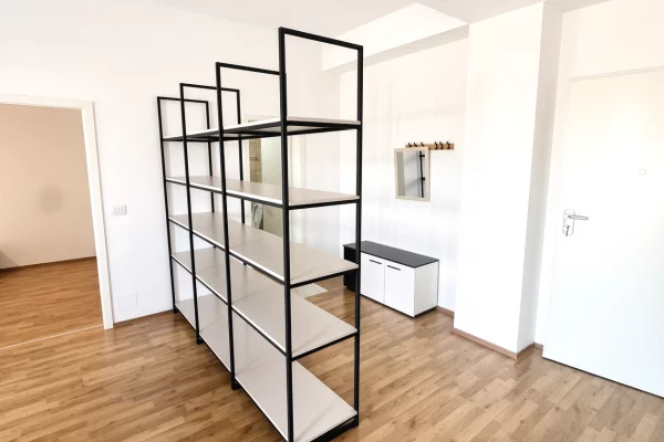 Shtepi ne shitje Apartament ne Tirane, 1+1, Mobilimi E mobiluar, Pagesa 11,500,000  Leke.