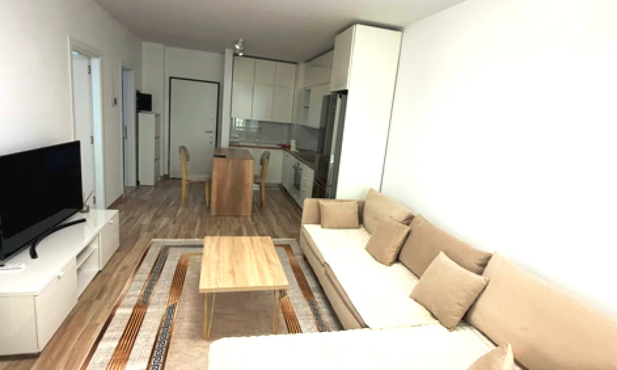 House for Rent Apartment in Tirana, 1+1, Furniture Furnished, Payment 650  Euro.