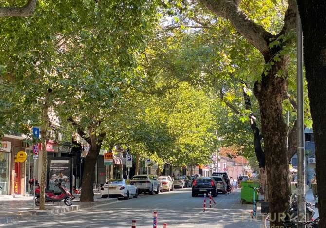 Ambient biznesi me qera 3+1 ne Tirane - 2,000 Euro