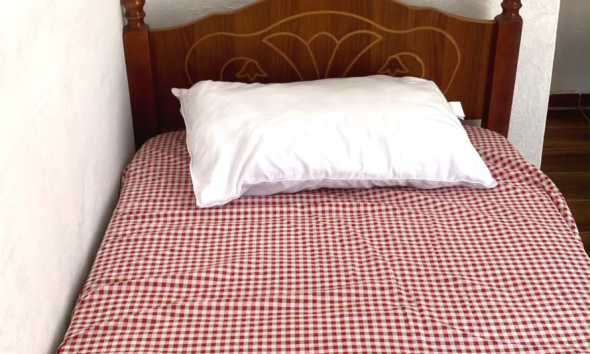 Shtepi me qera Shtepi Private ne Tirane, Garsoniere, Mobilimi E mobiluar, Pagesa 160  Euro.