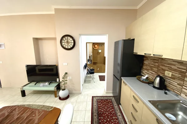 Shtepi me qera 1+1 ne Tirane - 55,000 Leke