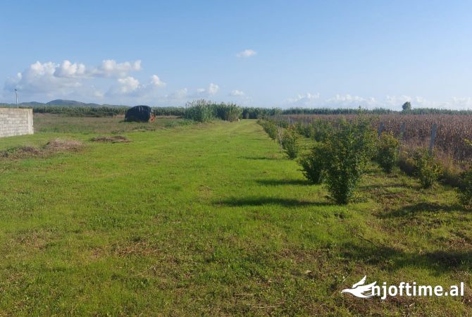 Terreno in vendita a Kavaja - 180,000 Euro