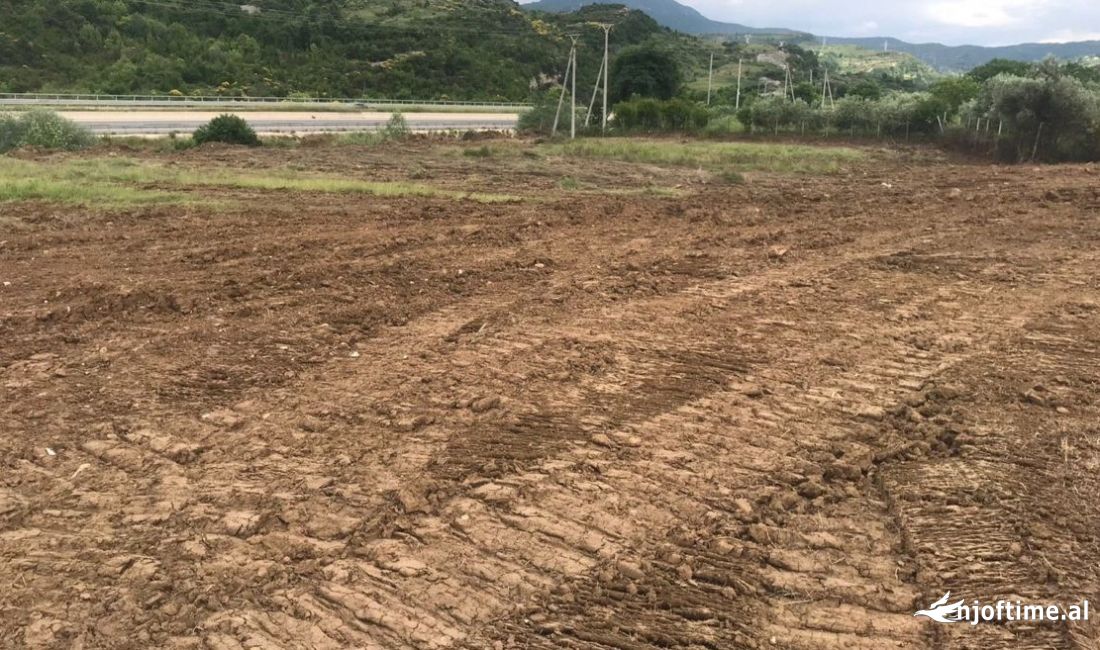 Shiten 16 dynym toke tek Palma Nova Resort, berzhite