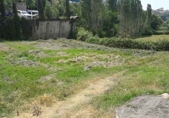 Truall ose Toke ne Tirane - 33,000 Euro