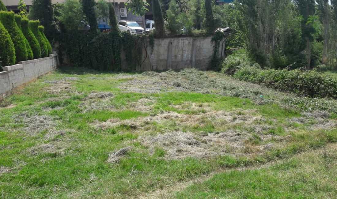 Shitet Toke ne Sauk.(Fark e vogel)Tirane