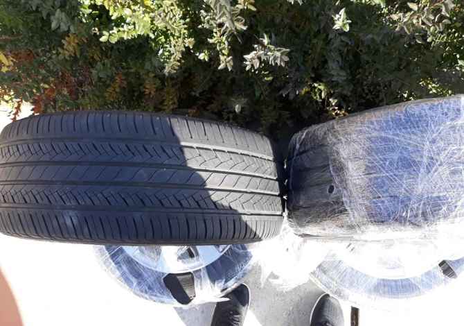 Shes goma me gjithe disqe 