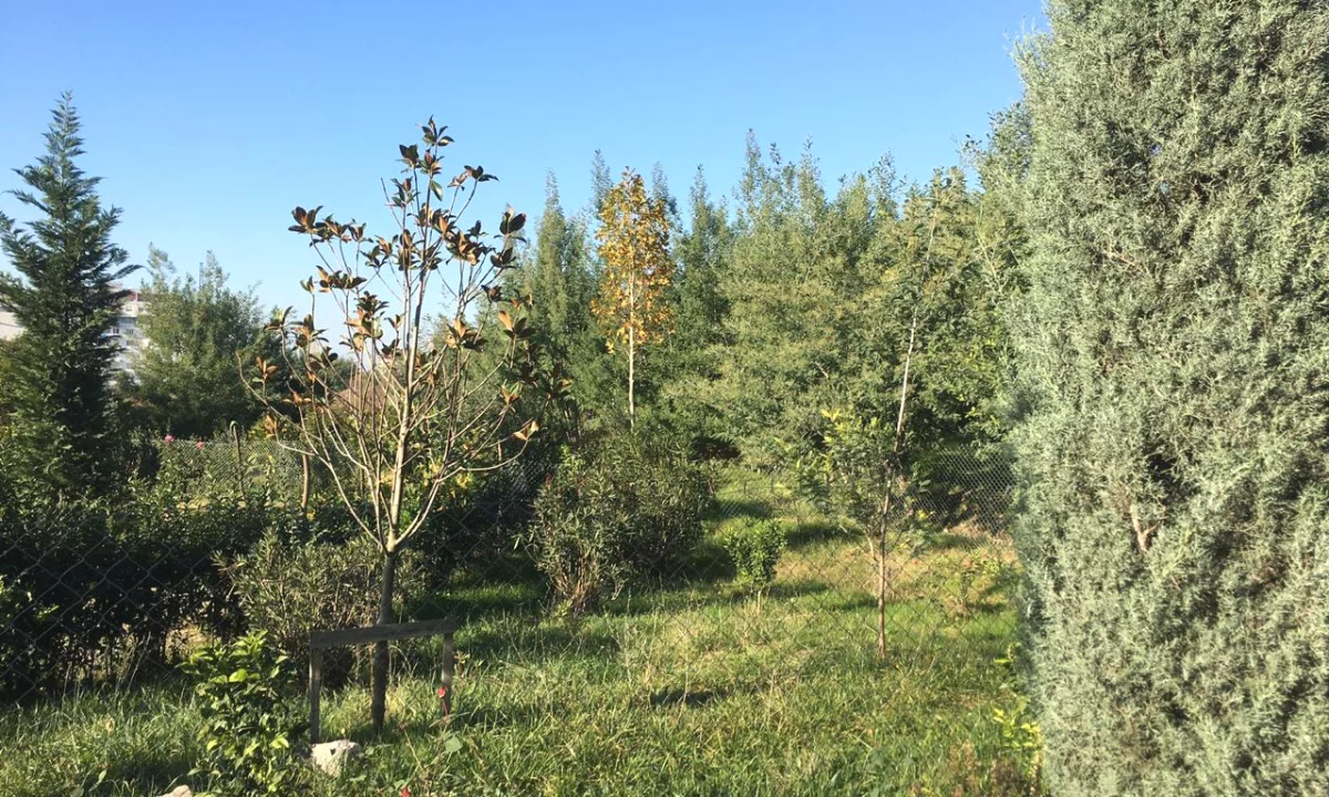 Shiten 1100 m2 toke ne Borsh Sarande. 