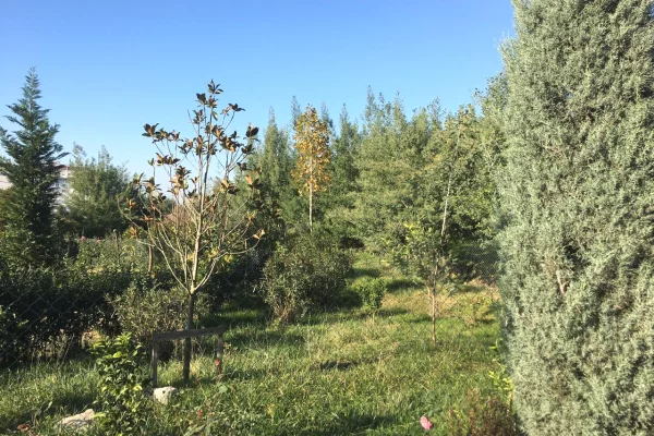 Truall ose Toke ne Himare - 149,000 Euro