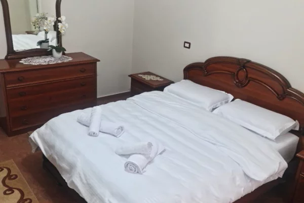 House for Rent 1+1 in Tirana - 55,000 Leke