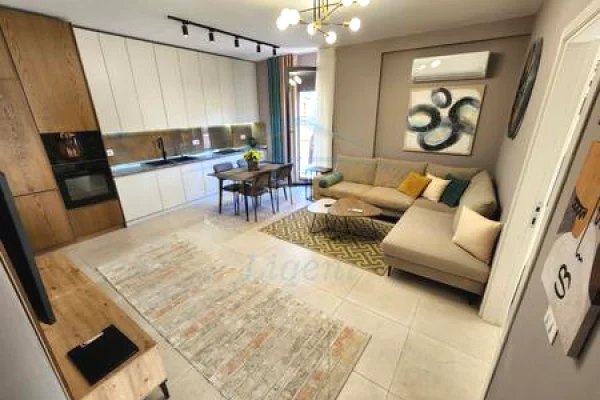 House for Rent 2+1 in Tirana - 900 Euro