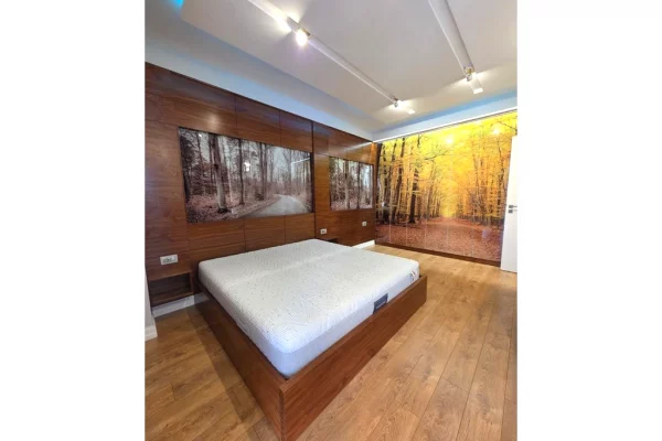 Apartment for rent in Tirana 1+1, Furnished