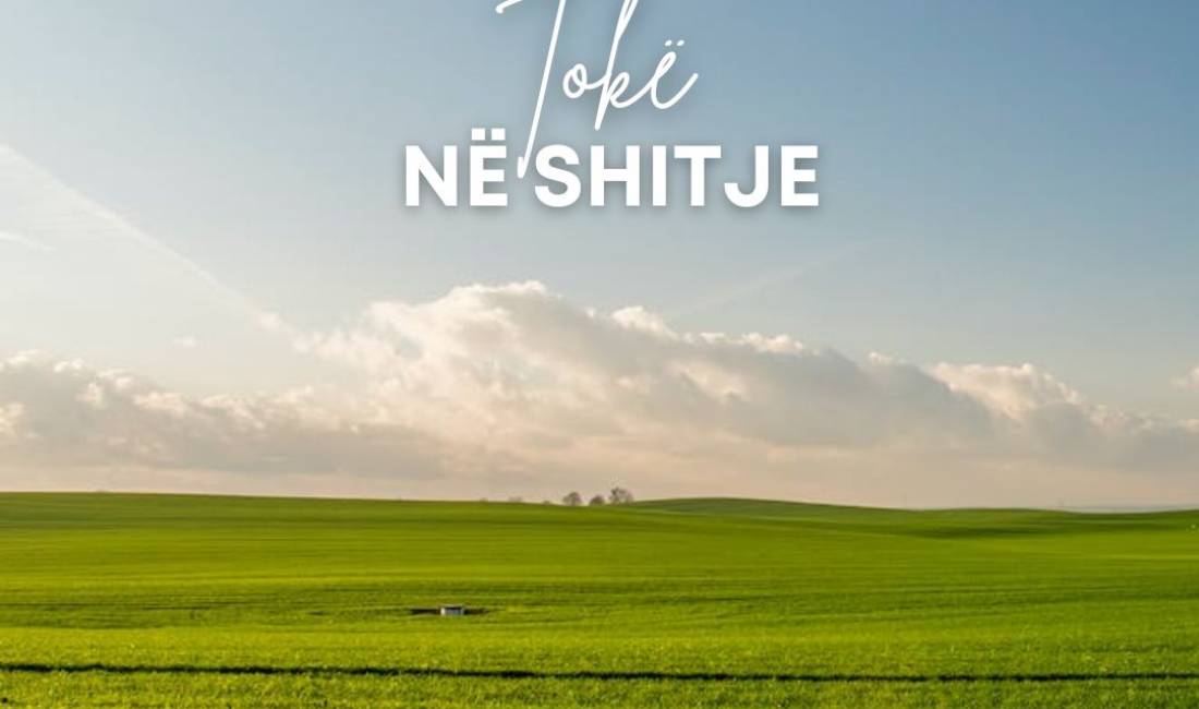 SHITET, TOKE, BERZHITE, TIRANE