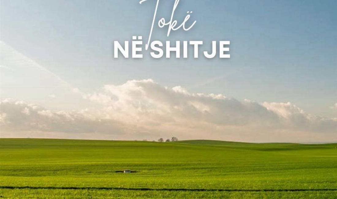 SHITET, TOKE, BERZHITE, TIRANE, TT 376