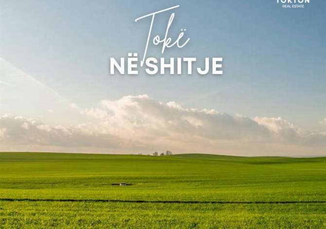 SHITET, TOKË, BËRZHITË, TIRANË, TT 376