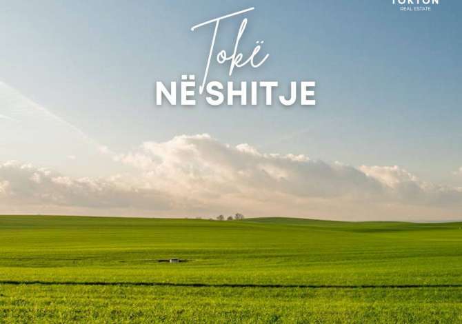 SHITET, TOKË, LINZË, TIRANË, TT 904