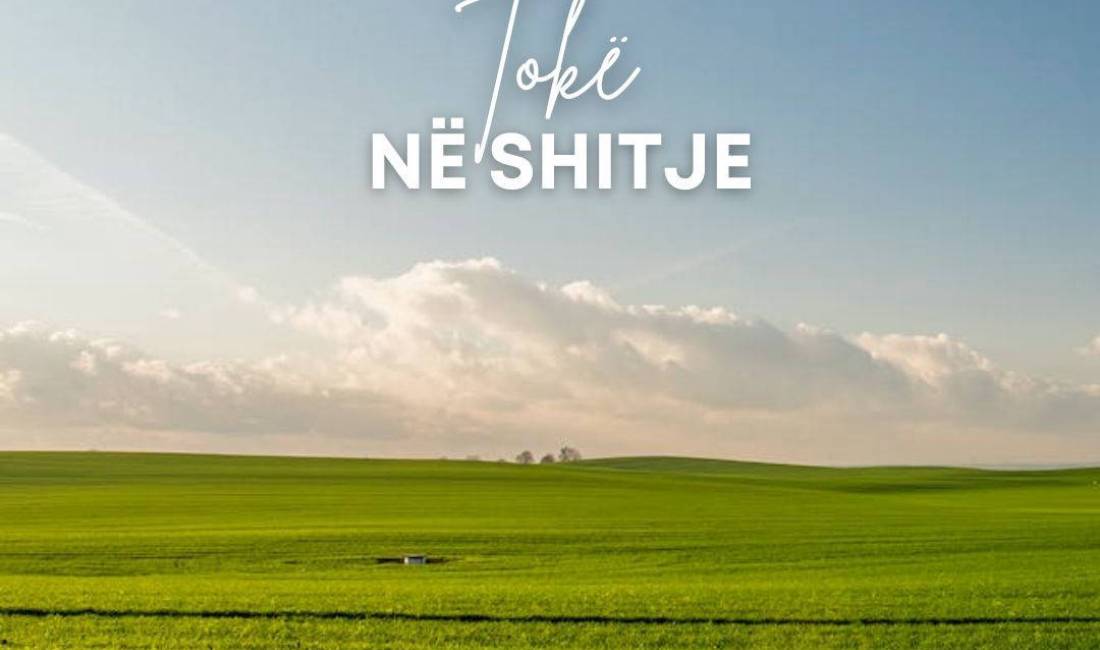 SHITET, TOKE, LINZE, TIRANE, TT 904