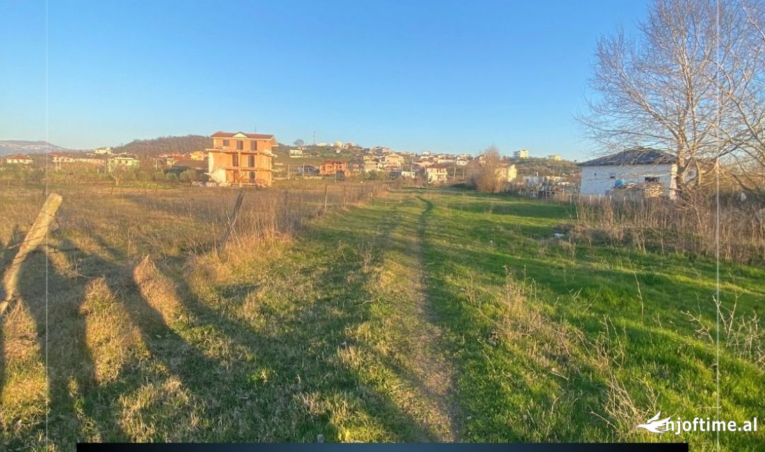 SHITET, TOKE, VORE, TIRANE, TT 1804