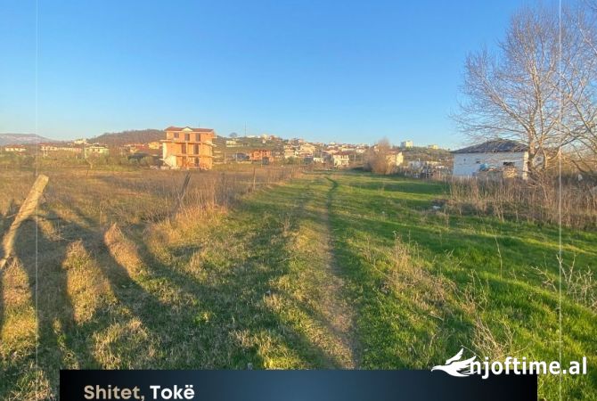 Truall ose Toke ne Tirane - 1,800,000 Euro