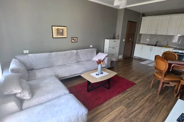 Shtepi me qera Apartament ne Tirane, 1+1, Mobilimi E mobiluar, Pagesa 65,000  Leke.