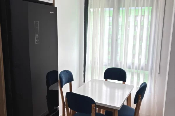 Shtepi me qera Apartament ne Tirane, 1+1, Mobilimi E mobiluar, Pagesa 55,000  Leke.