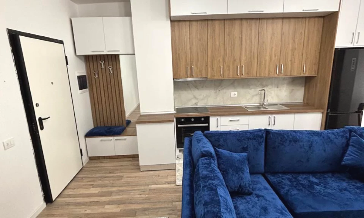 Shtepi me qera Apartament ne Tirane, 1+1, Mobilimi E mobiluar, Pagesa 55,000  Leke.