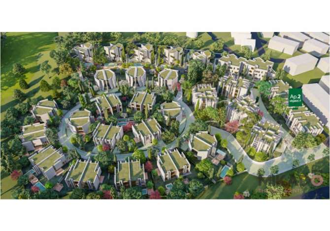 Shitet Biznes ne Ali Dem!