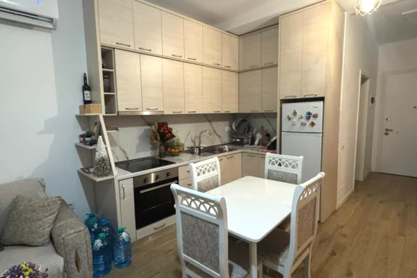 Apartment for rent in Tirana 1+1, Furnished