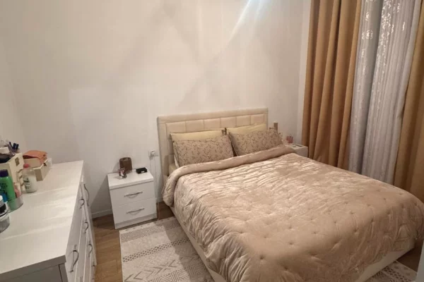 Apartment for rent in Tirana 1+1, Furnished