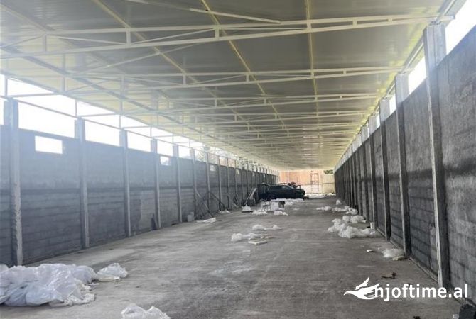 JEPET ME QERA MAGAZINE 800 M2 2000 EURO QTU